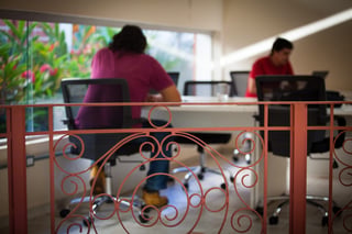Coworkers em ação na Pangeia