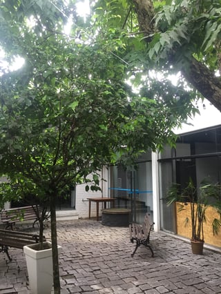 Jardim de inverno