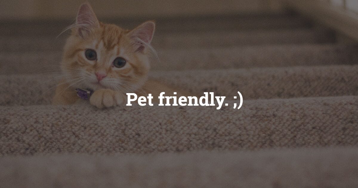 Empresas pet friendly: menos estresse, mais produtividade