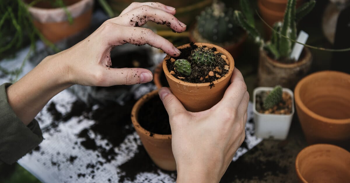 5 ideias sustentáveis para coworkings. É hora de colocar em prática!