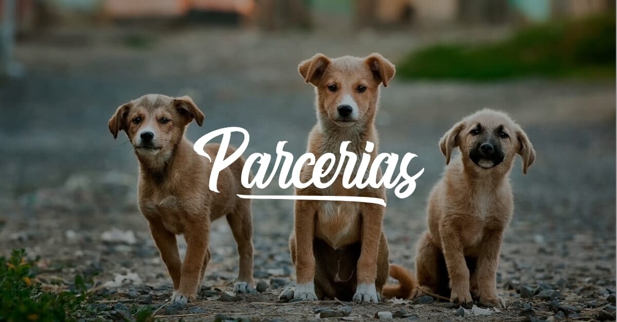 Parcerias