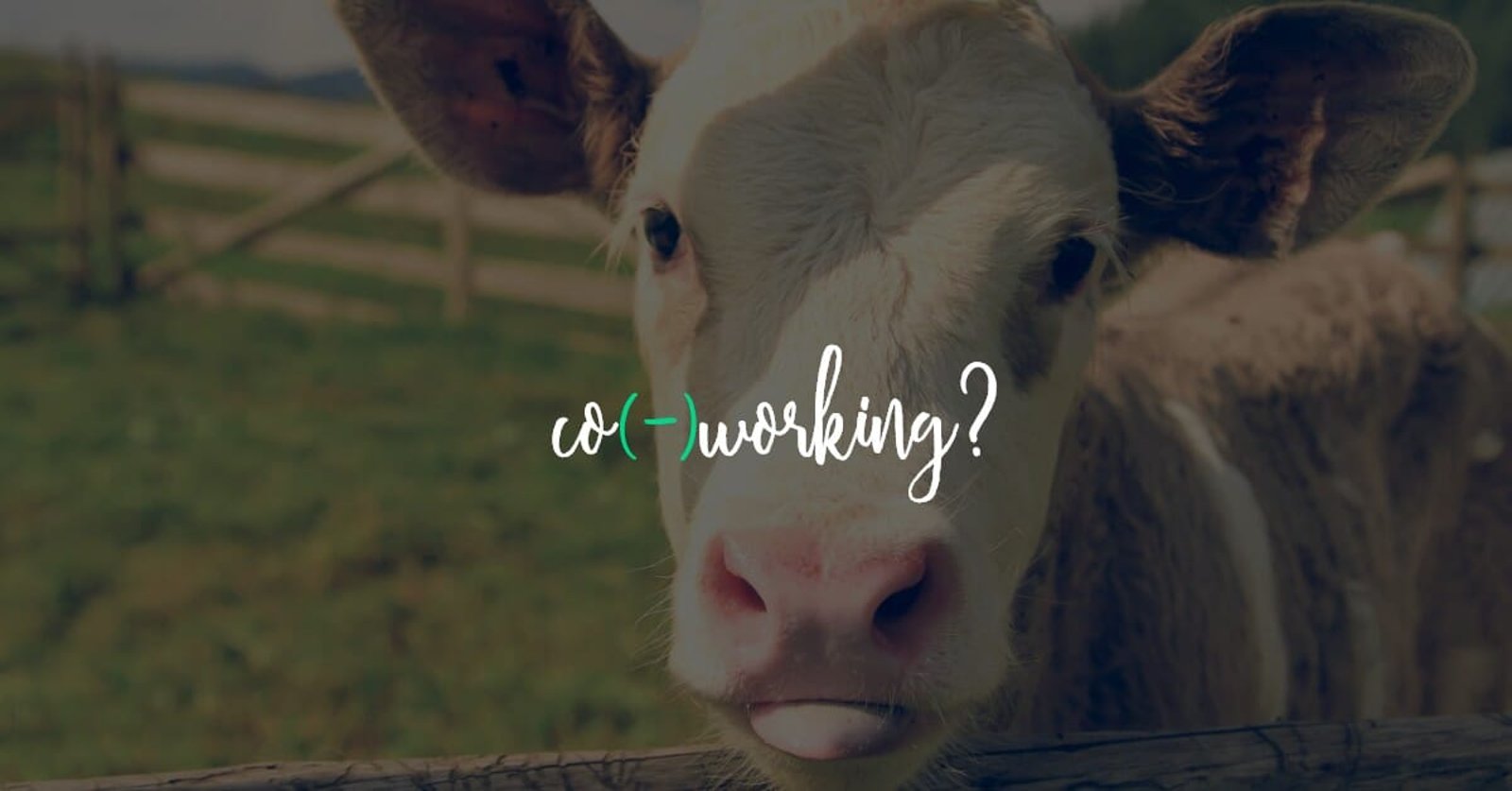 Coworking, co-working, cow-orking? Como escrever?